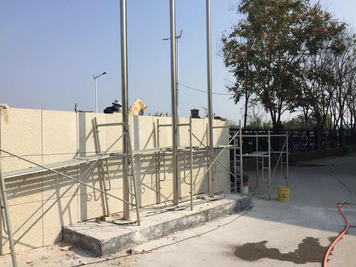 叮当牛(图3)